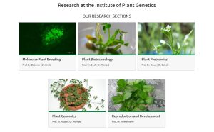 Read more about the article Program: libernz university hangover Germany Research Programs – Institute of Plant Genetics