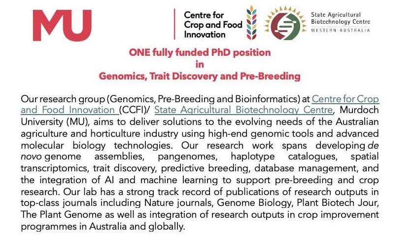 📃 Program: Fully Funded PhD Position in Center for Crop and Food Innovation, Australia 🦘