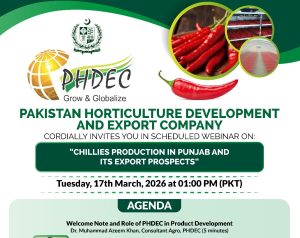 Read more about the article Event: Chillies Production in Punjab and Its Export Prospects – Ayub Agriculture FSD