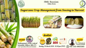Read more about the article Event: Sugarcane Crop Management from sowing to Harvest – GAPSci