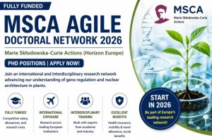 Read more about the article Event:  Fully Funded PhD Opportunity in Europe – MSCA AGILE 2026