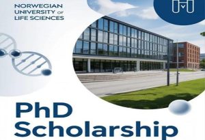 Read more about the article Event:  Fully Funded PhD Position in Veterinary Reproductive Medicine & Biotechnology at Norwegian University of Life Sciences
