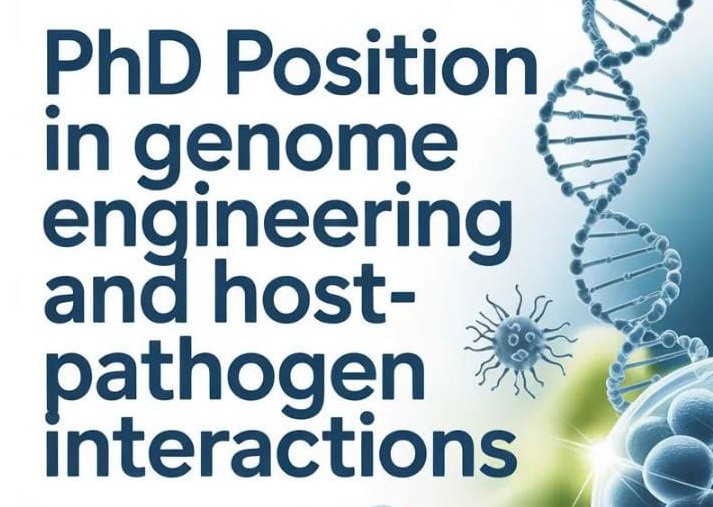 Read more about the article Event:  PhD Position in Genome Engineering & Host-Pathogen Interactions – Germany 2026