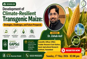 Read more about the article Event: Development of Climate-Resilient Transgenic Maize : Strategies, Challenges & Future Prospects