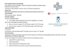 Read more about the article Event: PhD Position in Mechanisms of Hematopoietic System – Jagiellonian University, Kraków, Poland